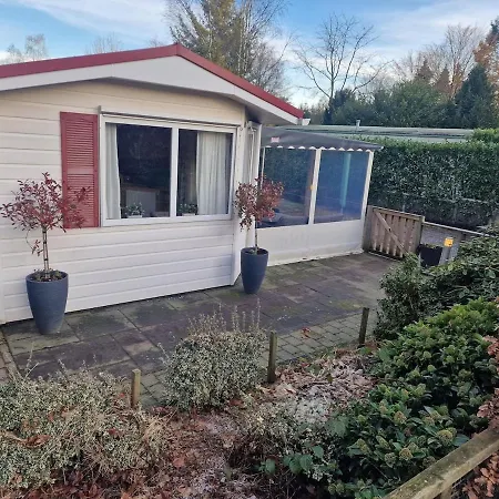 De Zilverberk Veluwe 4pers Domek alpejski