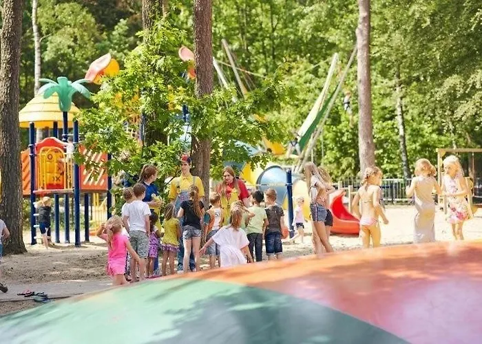 De Zilverberk Veluwe 4pers Domek alpejski *